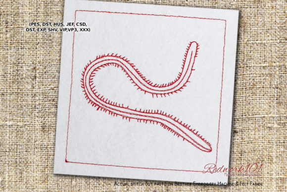 Bristle Worm – A Playful Bug with Gift Shop Potential