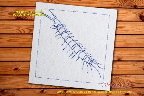 Centipede Worm Redwork: A Designer's Review