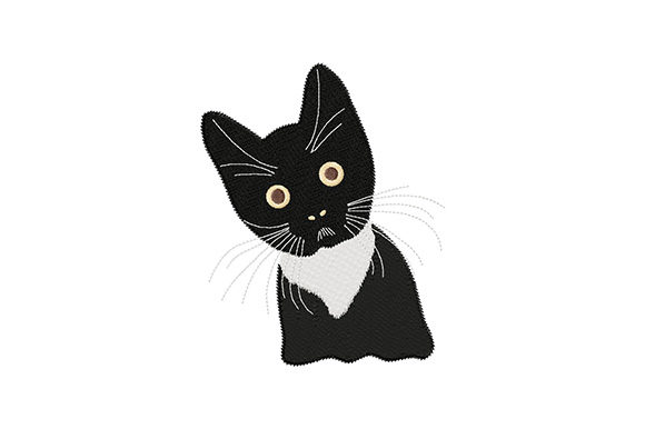 Cute Black Kitten: A Designer’s Review for Personalized Gifts
