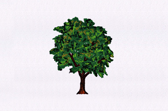 Evergreen Tree Design